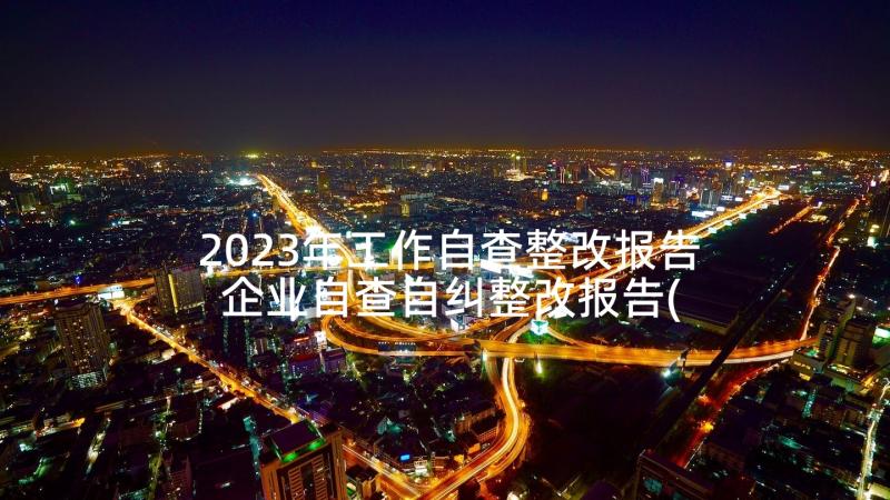 2023年工作自查整改报告 企业自查自纠整改报告(实用7篇)