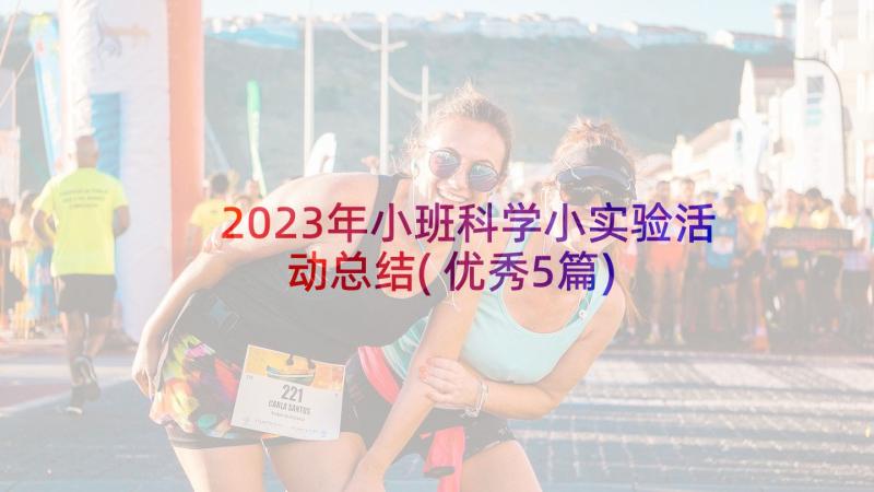 2023年小班科学小实验活动总结(优秀5篇)