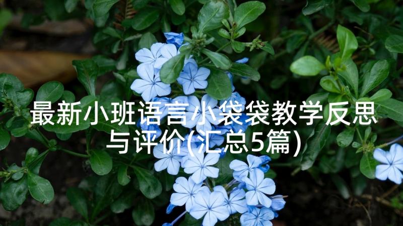 最新小班语言小袋袋教学反思与评价(汇总5篇)