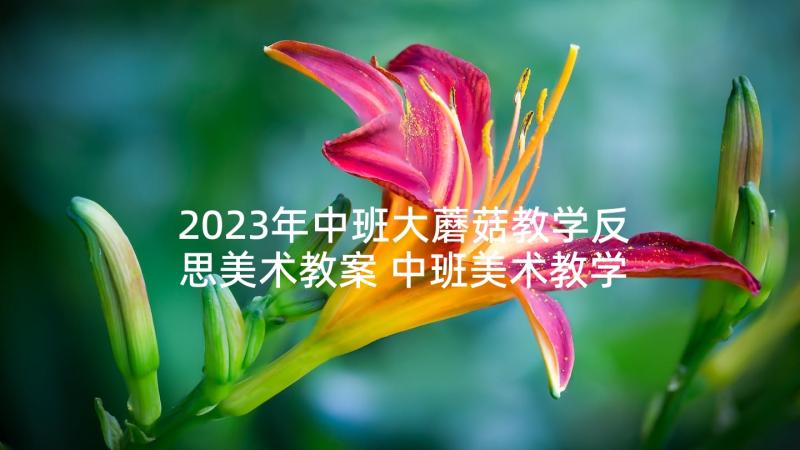 2023年中班大蘑菇教学反思美术教案 中班美术教学反思(汇总8篇)