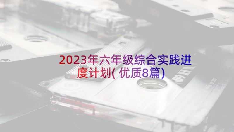 2023年六年级综合实践进度计划(优质8篇)