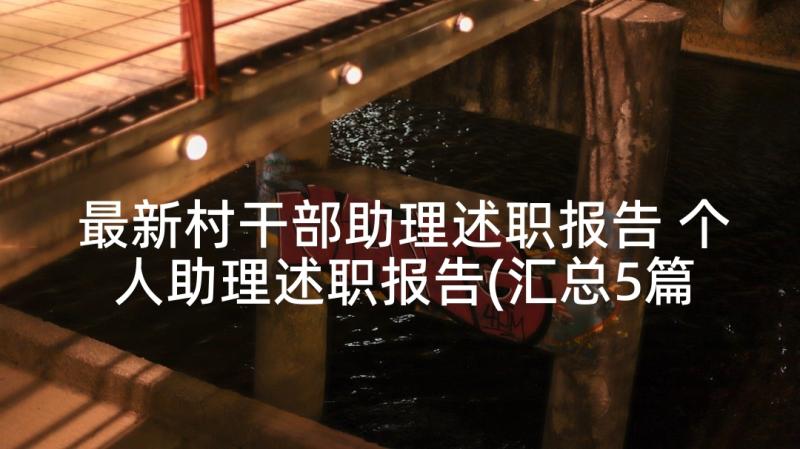 最新村干部助理述职报告 个人助理述职报告(汇总5篇)