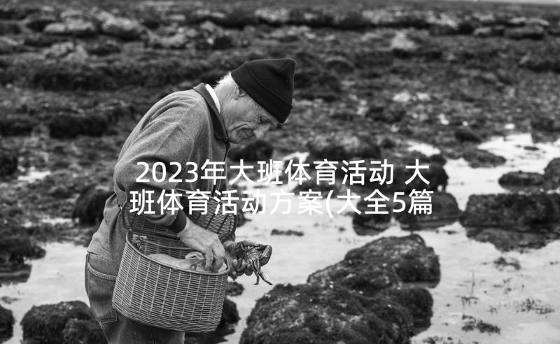 2023年大班体育活动 大班体育活动方案(大全5篇)