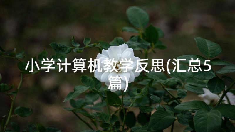 小学计算机教学反思(汇总5篇)