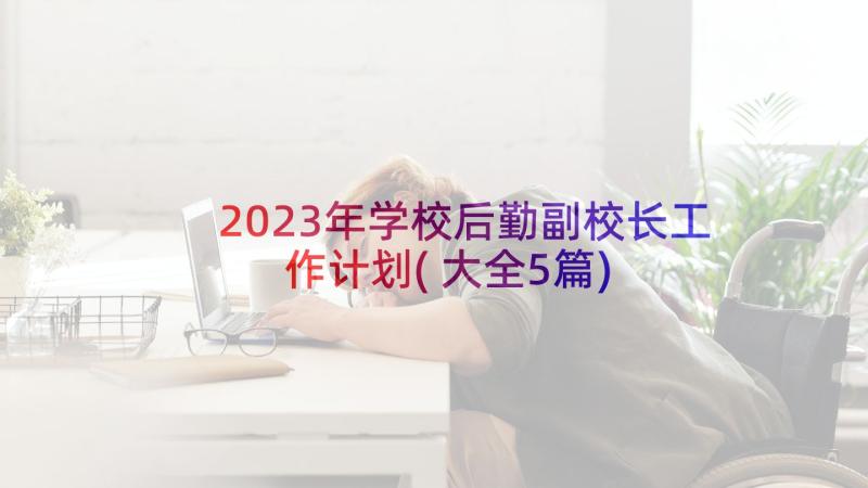 2023年学校后勤副校长工作计划(大全5篇)