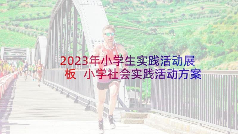 2023年小学生实践活动展板 小学社会实践活动方案(通用5篇)