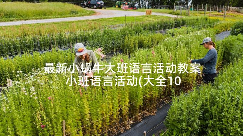 最新小蜗牛大班语言活动教案 小班语言活动(大全10篇)