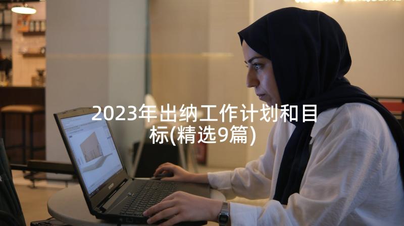 2023年出纳工作计划和目标(精选9篇)