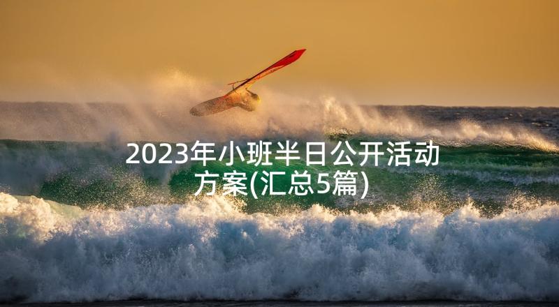 2023年小班半日公开活动方案(汇总5篇)