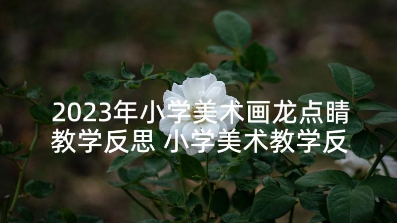 2023年小学美术画龙点睛教学反思 小学美术教学反思(优秀7篇)