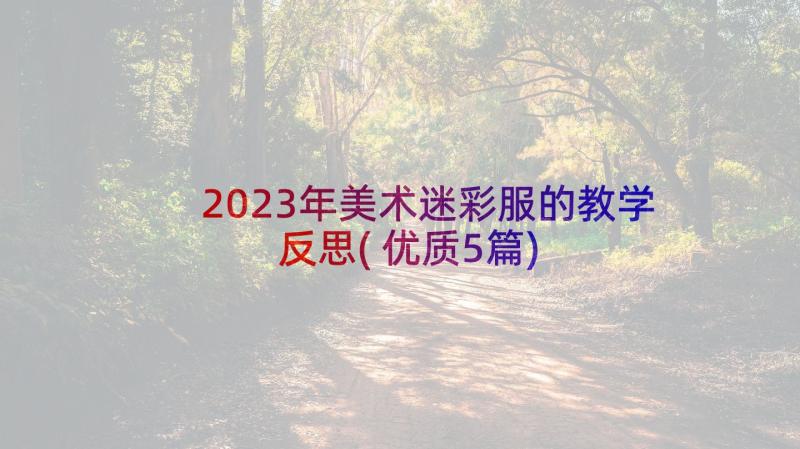 2023年美术迷彩服的教学反思(优质5篇)