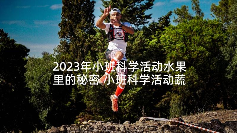 2023年小班科学活动水果里的秘密 小班科学活动蔬菜奶奶过生日教案(精选5篇)