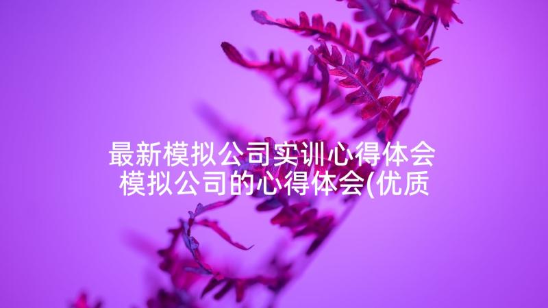 最新模拟公司实训心得体会 模拟公司的心得体会(优质5篇)