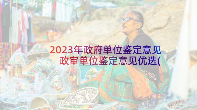 2023年政府单位鉴定意见 政审单位鉴定意见优选(实用5篇)