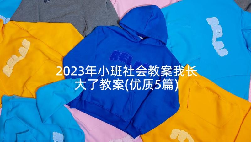 2023年小班社会教案我长大了教案(优质5篇)