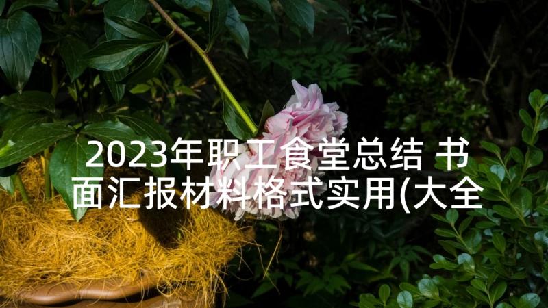 2023年职工食堂总结 书面汇报材料格式实用(大全9篇)