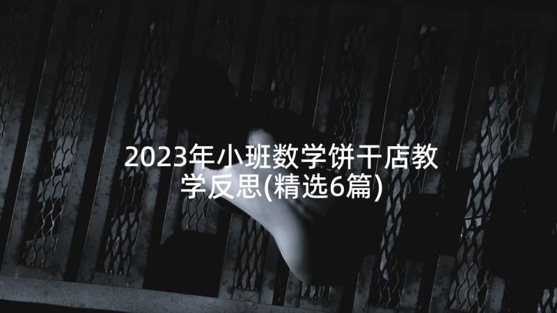 2023年小班数学饼干店教学反思(精选6篇)