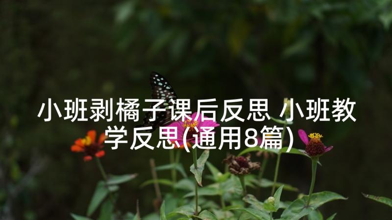 小班剥橘子课后反思 小班教学反思(通用8篇)