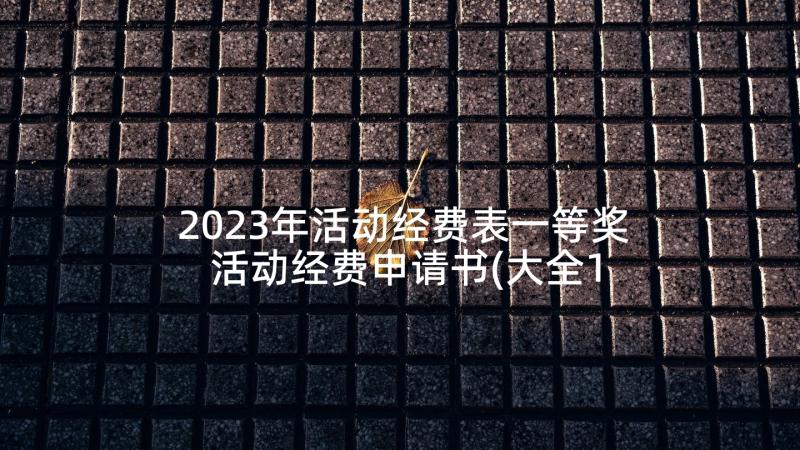 2023年活动经费表一等奖 活动经费申请书(大全10篇)