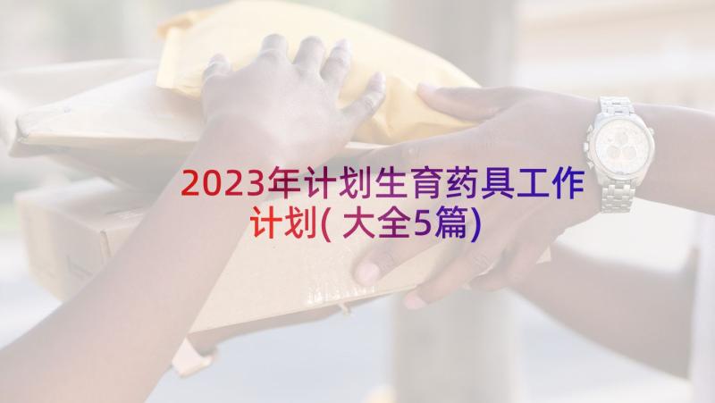 2023年计划生育药具工作计划(大全5篇)
