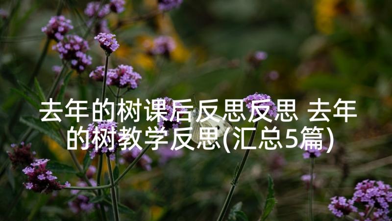 去年的树课后反思反思 去年的树教学反思(汇总5篇)