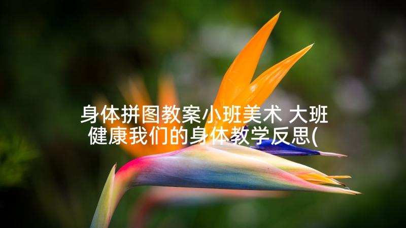 身体拼图教案小班美术 大班健康我们的身体教学反思(优质5篇)