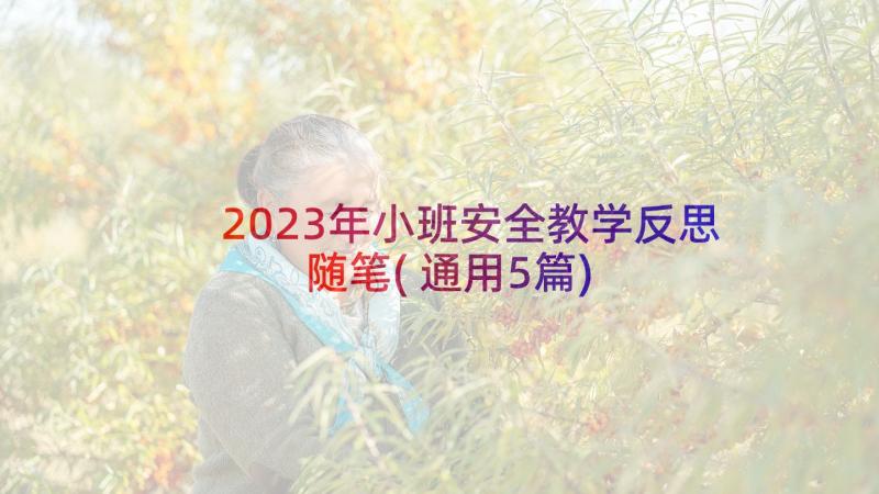 2023年小班安全教学反思随笔(通用5篇)