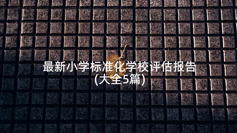 最新小学标准化学校评估报告(大全5篇)