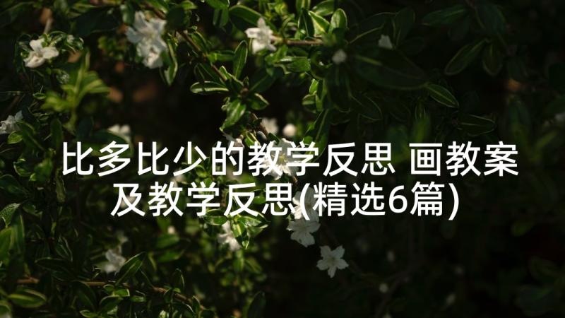 比多比少的教学反思 画教案及教学反思(精选6篇)