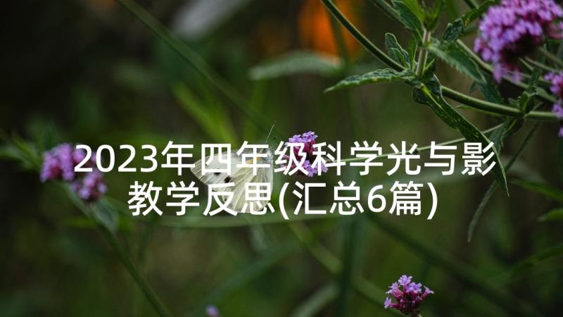 2023年四年级科学光与影教学反思(汇总6篇)