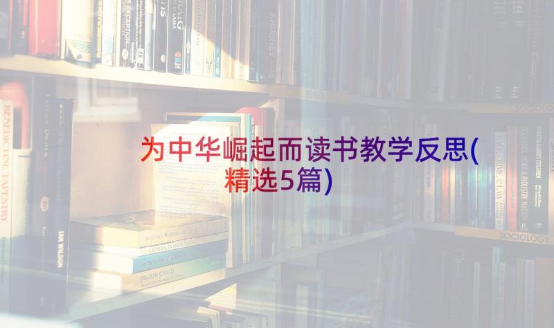为中华崛起而读书教学反思(精选5篇)