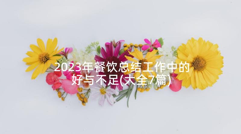 2023年餐饮总结工作中的好与不足(大全7篇)