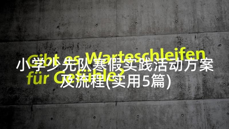 小学少先队寒假实践活动方案及流程(实用5篇)