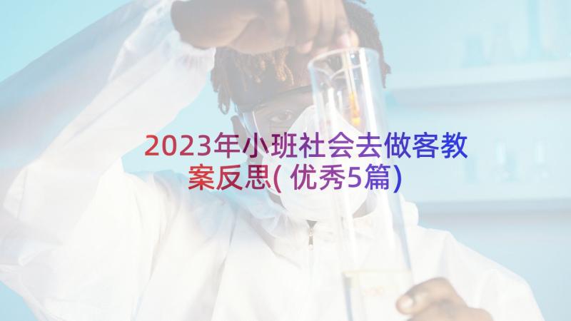 2023年小班社会去做客教案反思(优秀5篇)