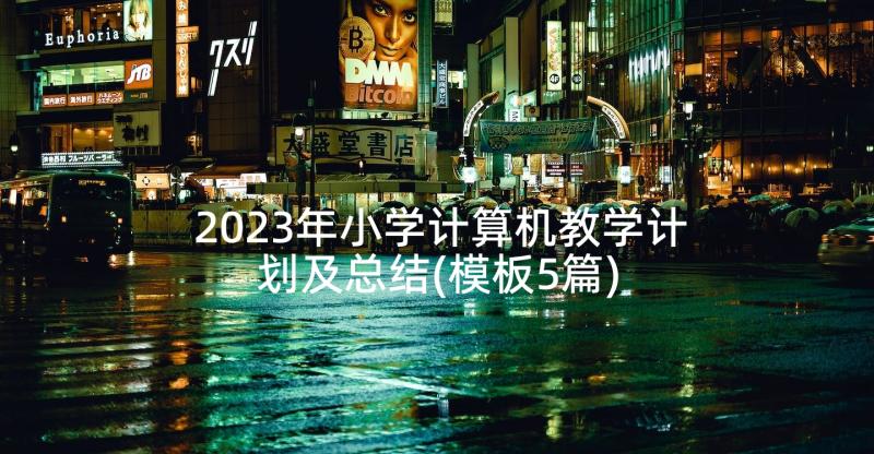 2023年小学计算机教学计划及总结(模板5篇)