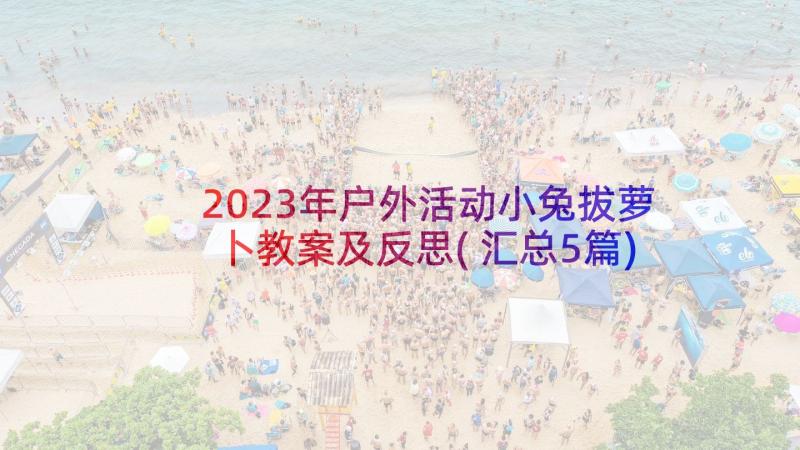 2023年户外活动小兔拔萝卜教案及反思(汇总5篇)