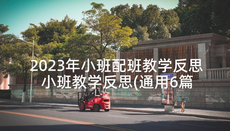 2023年小班配班教学反思 小班教学反思(通用6篇)