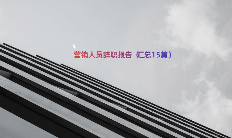 营销人员辞职报告（汇总15篇）