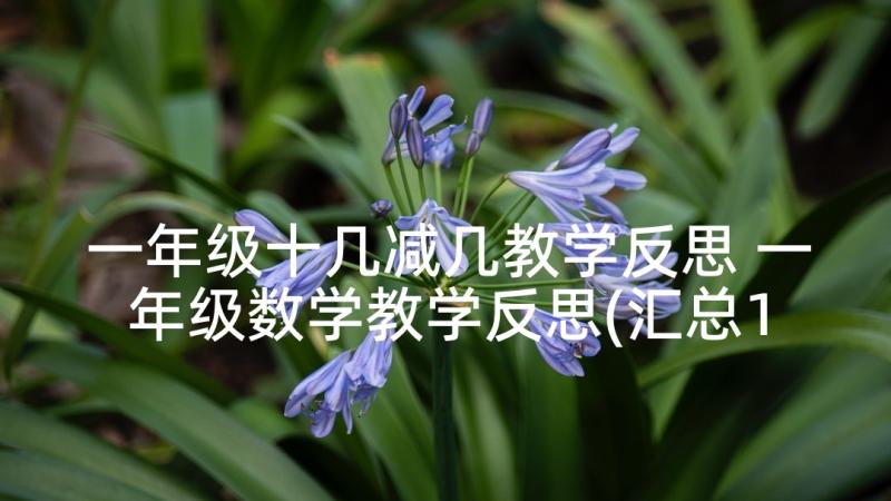 一年级十几减几教学反思 一年级数学教学反思(汇总10篇)