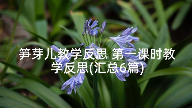 笋芽儿教学反思 第一课时教学反思(汇总6篇)