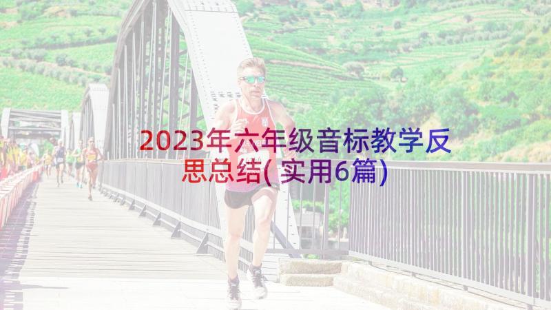 2023年六年级音标教学反思总结(实用6篇)