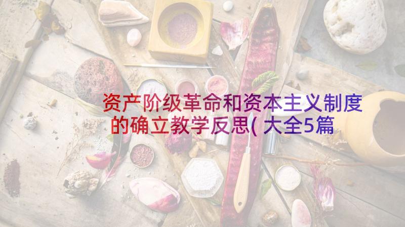 资产阶级革命和资本主义制度的确立教学反思(大全5篇)