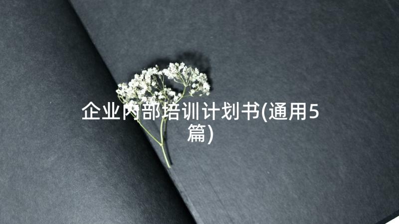 企业内部培训计划书(通用5篇)