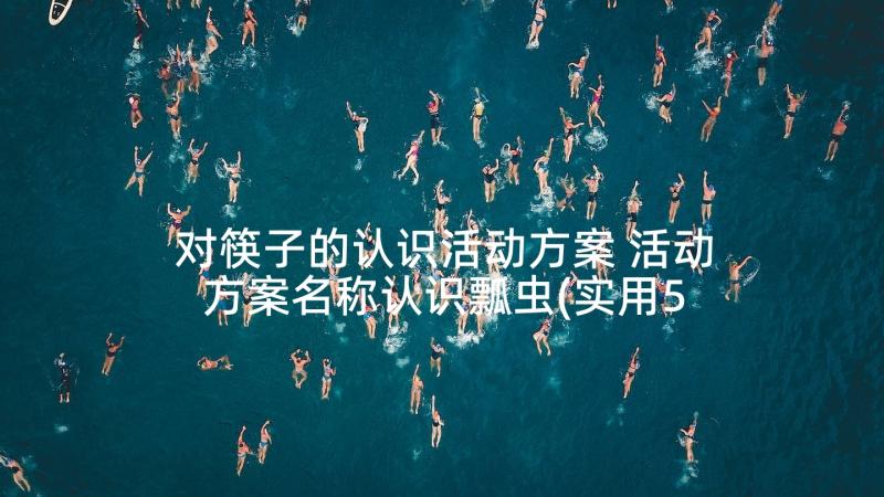 对筷子的认识活动方案 活动方案名称认识瓢虫(实用5篇)