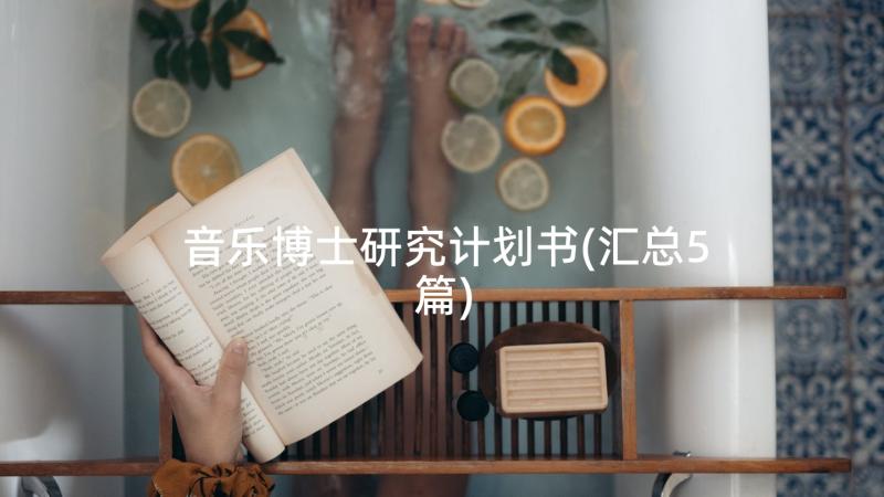 音乐博士研究计划书(汇总5篇)