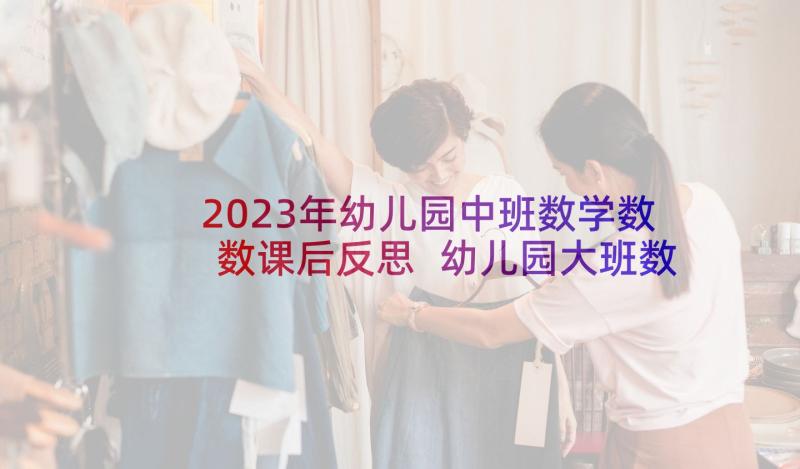 2023年幼儿园中班数学数数课后反思 幼儿园大班数学教学反思(模板5篇)