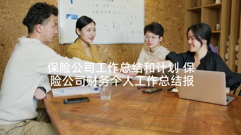 保险公司工作总结和计划 保险公司财务个人工作总结报告(实用6篇)