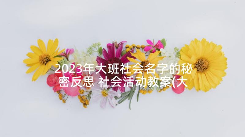 2023年大班社会名字的秘密反思 社会活动教案(大全8篇)