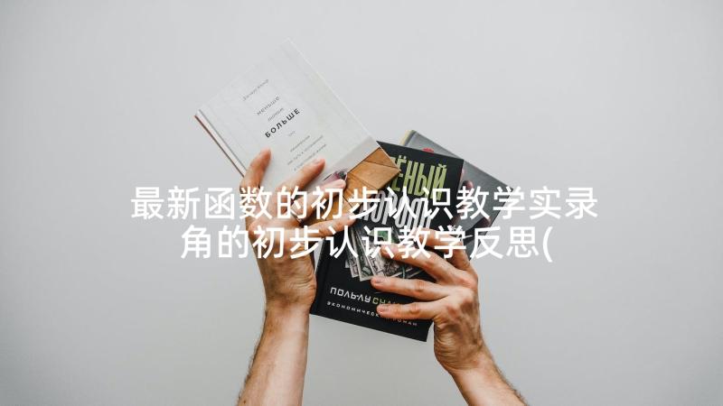 最新函数的初步认识教学实录 角的初步认识教学反思(优秀7篇)