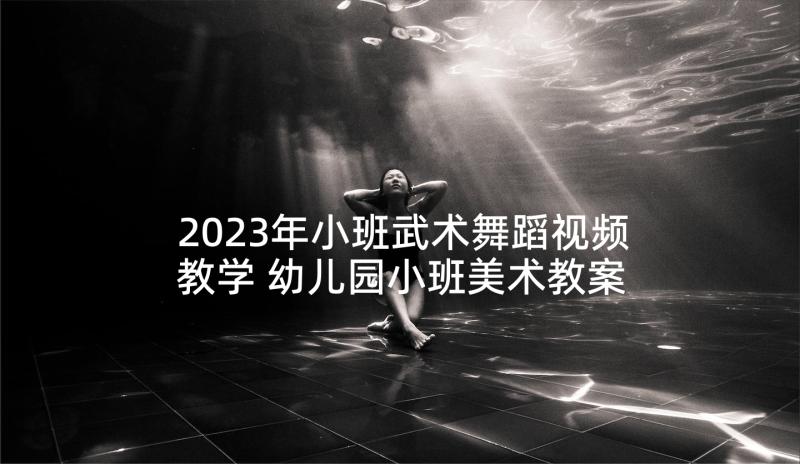 2023年小班武术舞蹈视频教学 幼儿园小班美术教案(通用7篇)